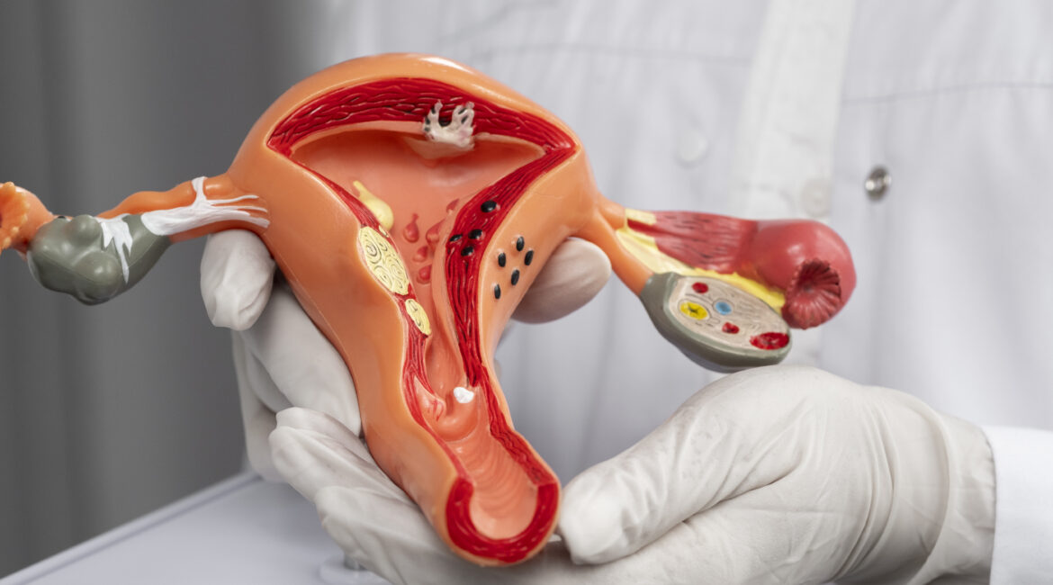 Safe & Effective Vaginal Rejuvenation at Phoenix Plastic Surgery Centre